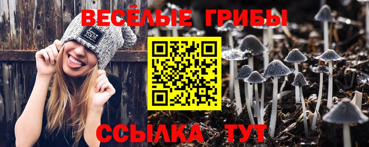 Галлюциногенные грибы MAGIC MUSHROOMS Вичуга