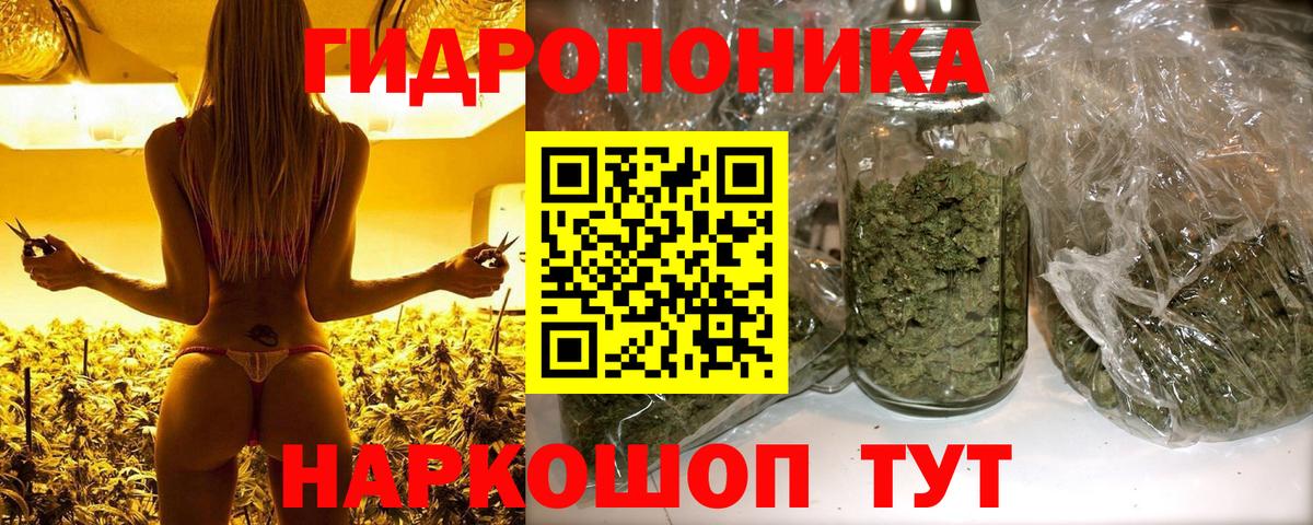 Вичуга  Бошки Шишки Amnesia  Вход с VPN  МАРИХУАНА конопля  Бошки марихуана марихуана 